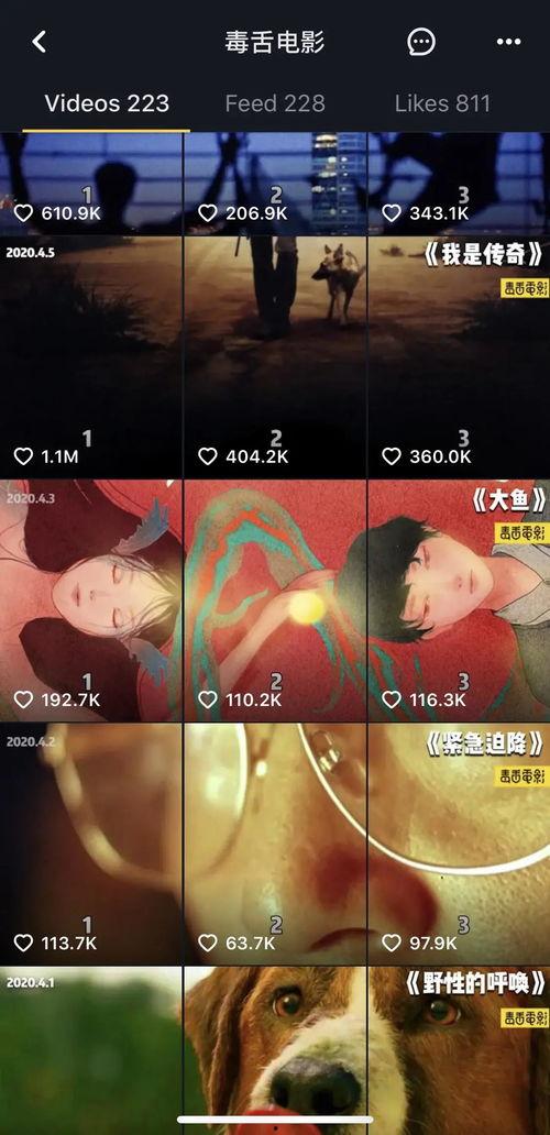 在线视频观看国产,在线视频观看背后的国产力量